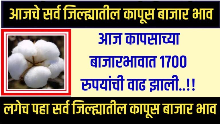 Today's cotton market price